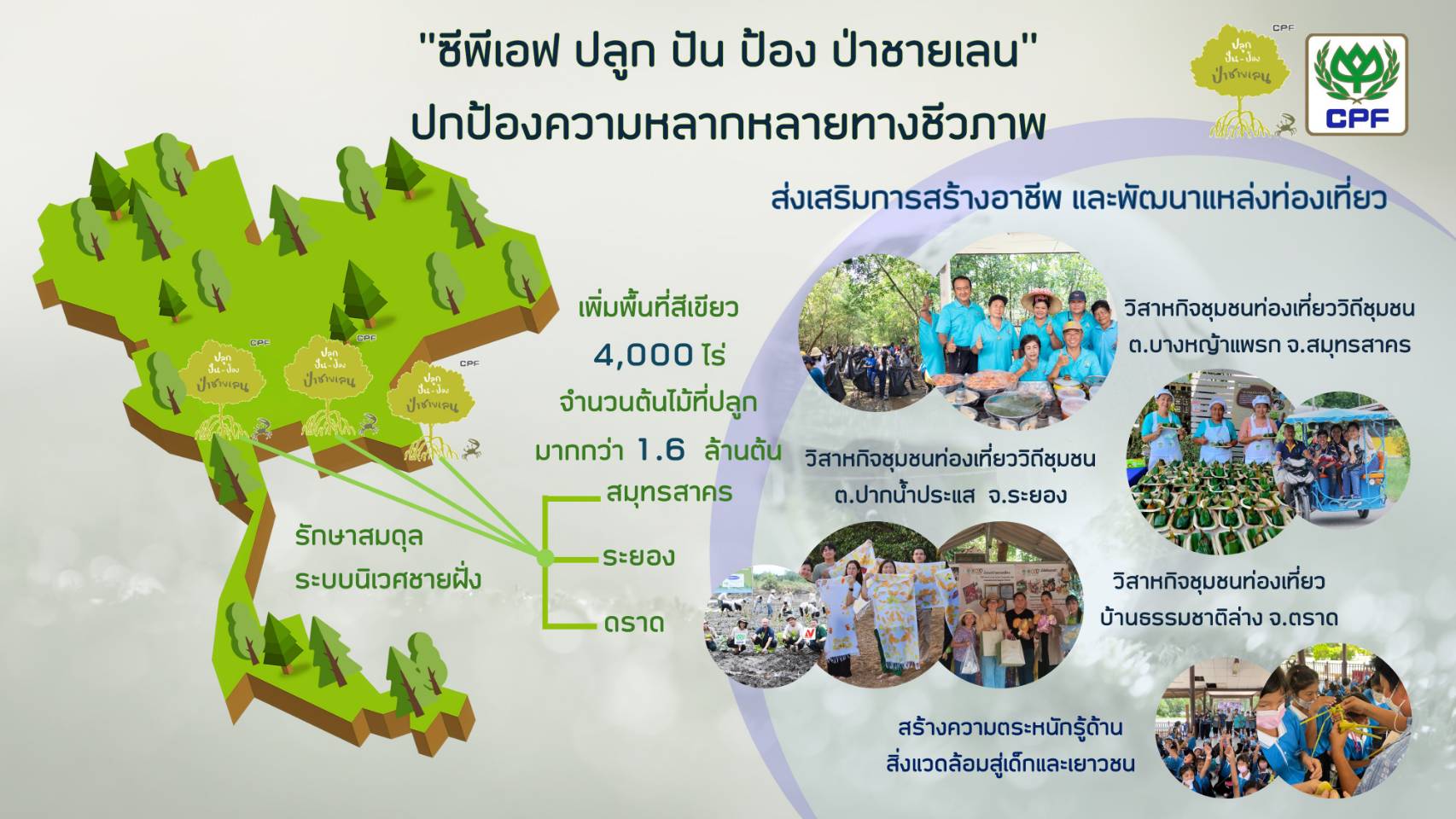 CP Foods Commits to Biodiversity Protection on National Mangrove Forest Day